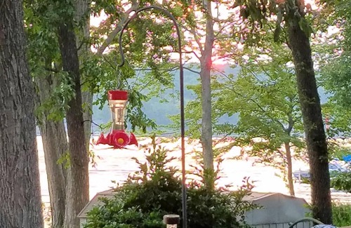 Dundee Cottage | "Sunset Serenity" on Waneta Lake-Visit the FingerLakes, Wine Trails & upstate NY
