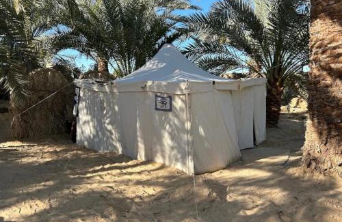 Siwa Other | Sunset Tree Camp