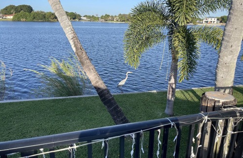 Lake Ida Shores House | Sunsets-WOW-Special rent-1/4 -2/20 Htd-pool, lakefront-pets-8min to dwntn/beach