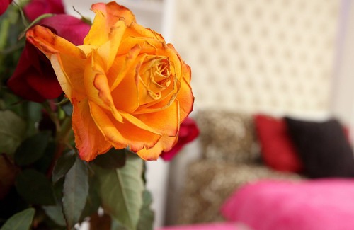 Brompton & Hans Town Apartment | ★ Super Central Chelsea South Kensington ★ Perfect for solo/couples