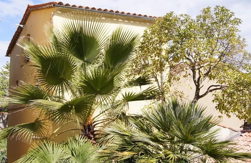 Callas House | Superb Provencal Village House with South Facing Roof Terrace with Stunning View
