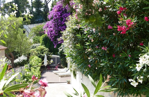 Cassis Apartment | Superb T2 Cassis, facing south, at the bottom of the villa 2-4 people