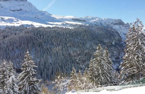 Flaine Apartment | Superbe 2 pièces+cabine rénové avec balcon - 4 pers, Flaine Forêt - FR-1-425-191