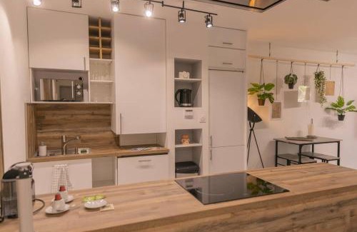 Metz-Centre – Ancienne Ville Apartment | Superbe Appart Plein Centre avec Parking & Jardin