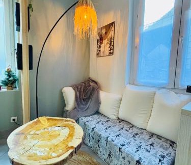 Bagneres-de-Luchon Apartment | Superbe duplex climatisé avec jardin classé 3 étoiles