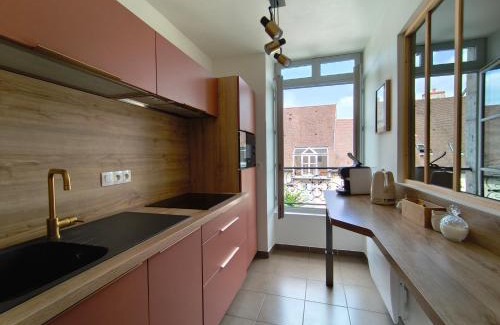 Dole Apartment | Superbe duplex « le Grévy »