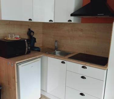 Poussan Apartment | superbe grand studio tout confort avec exterieur