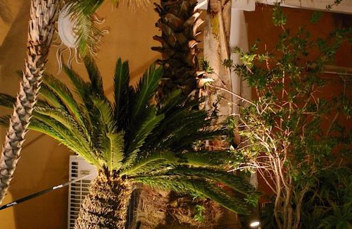 Theoule-Superieur Apartment | Superbe penthouse