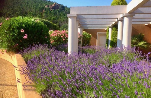 Theoule-Superieur Apartment | Superbe penthouse