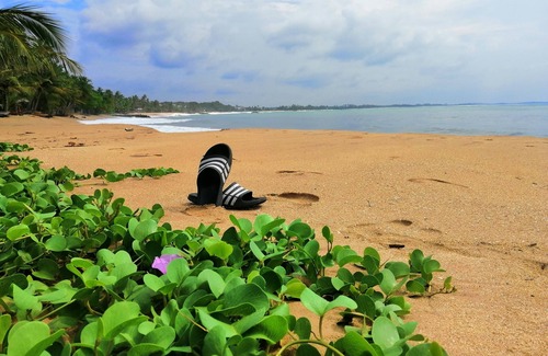 Tangalle Hotel | Superior Deluxe Sea view Room by Mars Hotel Tangalle