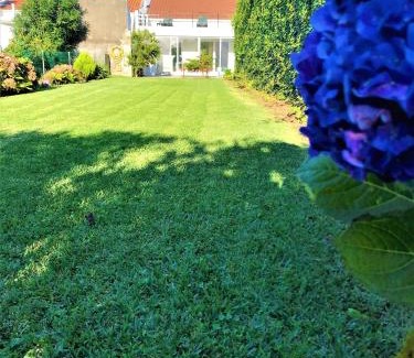 Ribeira Grande House | Surf Beach Santa Barbara Secret Gardens