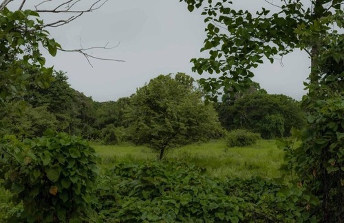 Cabuya Cottage | Surrounded By Trees In Front Of The Sea