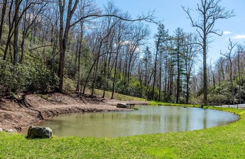 Pisgah Forest House | Sutton Knob home with fireplace, central AC, full kitchen, & loft - dog-friendly