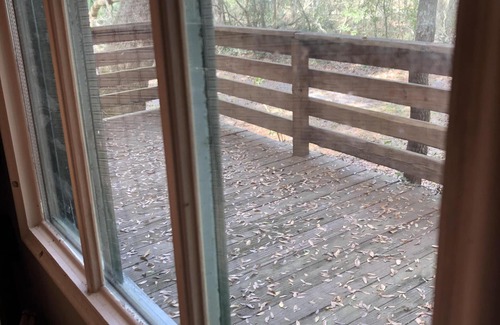 Branford Cabin | 'Suwannee River Tranquility' from $180/Night for 4 People!'