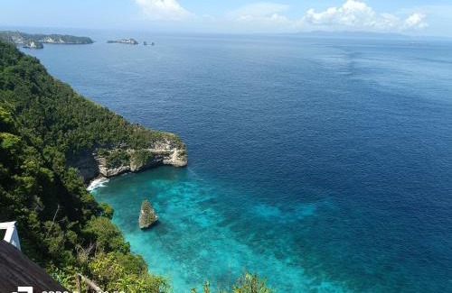 Penida Island House | Suwehan Cliff Treehouse