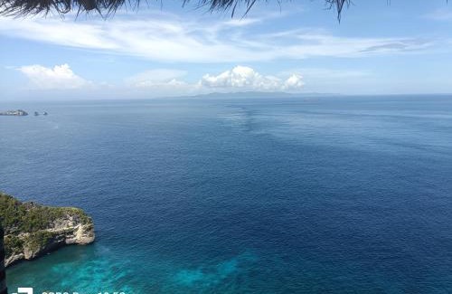 Penida Island House | Suwehan Cliff Treehouse
