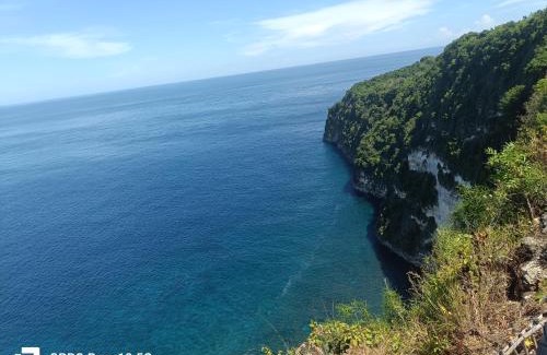 Penida Island House | Suwehan Cliff Treehouse