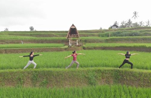 Sebatu Other | Swaha Retreat & Eco Park Ubud