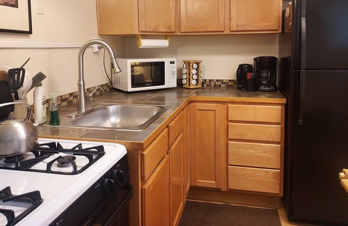 Ridgway Apartment | Sweet, Cozy Space for Two + One ( Baby not yet crawling or very small dog)
