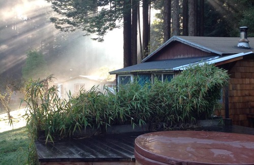 Garfield Cabin | Sweet Little Cabin in the Trees.
