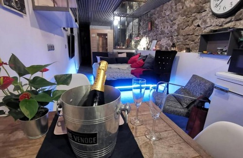 Quartier Hyper-Centre Apartment | Sweet Loft Grenoble-love Room Avec Jacuzzi & Sauna