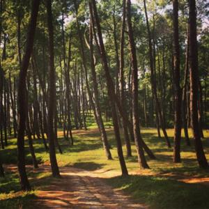 Madhyapur Thimi House | Sweethome