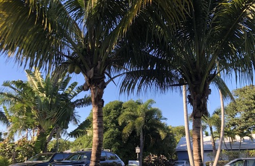 Delray Beach Cottage | Swinton Cottage by Delray Beach w/free parking Unit A
