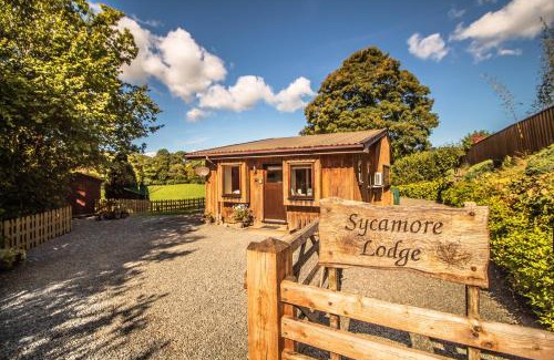 Rhayader House | Sycamore Lodge