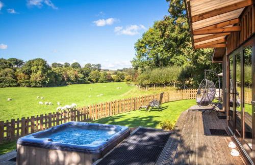 Rhayader House | Sycamore Lodge