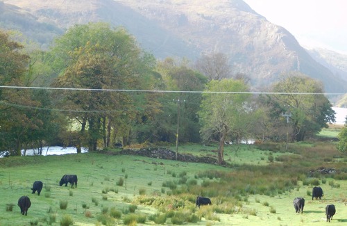 Beddgelert Cottage | Sygun Cottage 40 mins walk to Watkin Waterfalls, Snowdon