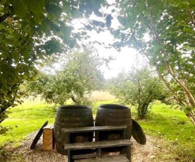 Cilgerran House | Tŷ Ni Tiny Houses