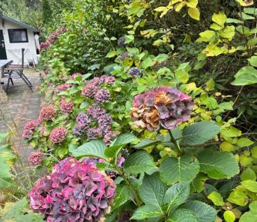 Voorthuizen Ski Chalet | 't Tjilpplekje, 4-persoons chalet met privé hottub