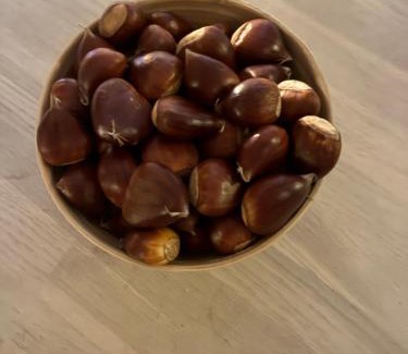 Voorthuizen Ski Chalet | 't Tjilpplekje, 4-persoons chalet met privé hottub