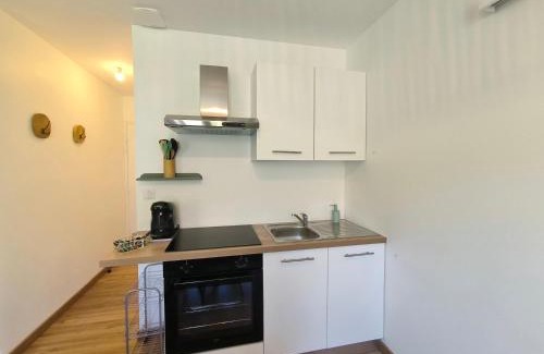 Sault-Brenaz Apartment | T1 accès direct via rhôna - clim -local vélo - Cnpe