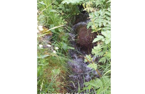 Luz-Saint-Sauveur Apartment | T1 cabine de Letious