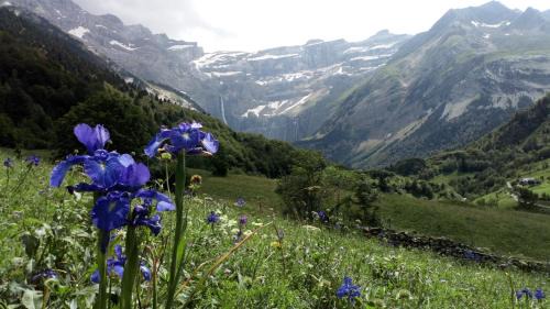 Luz-Saint-Sauveur Apartment | T1 cabine de Letious