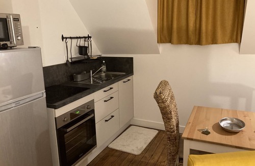 Bagnoles-de-l'Orne Apartment | T1 Cozy n'est under the roof