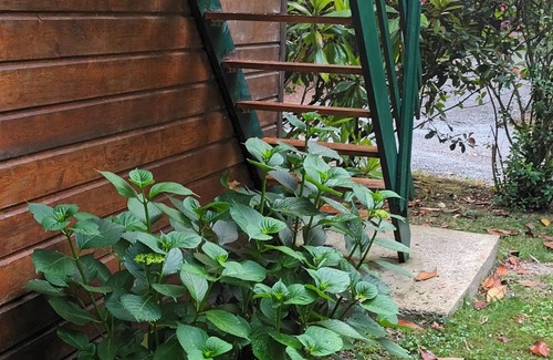 Saint-Malo Apartment | T1 in wooded park 2.5 km from SAINT-MALO (1st floor)