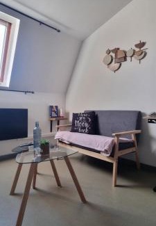 Anzin Apartment | T1 rénové 24m2 Cosy Confort !