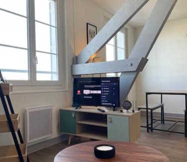 Bourges Apartment | T2 4 pers face gare SNCF Appart Hotel le Cygne 6