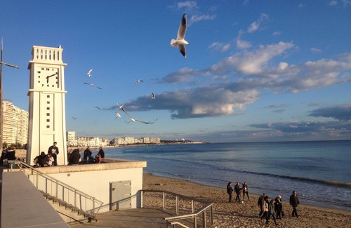 Les Sables d'Olonne Apartment | T2 5O meters from the beach