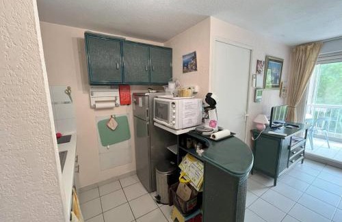 Cap d'Agde Apartment | T2 cabine avec parking et piscine, proche commodités - FR-1-749-73