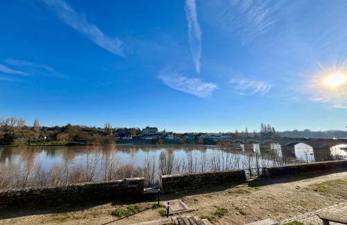 Amboise Apartment | T2 climatisé face Loire et château le 4-4