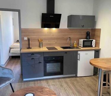 Bourges Apartment | T2 face gare SNCF Appart Hotel le Cygne 1