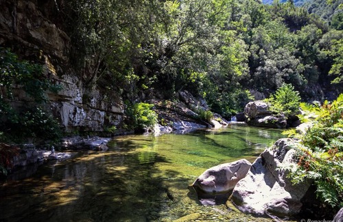 San-Gavino-di-Fiumorbo House | T2 in the heart of the village, near natural swimming pools and hikes