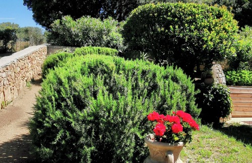 Propriano Apartment | T2 Michele