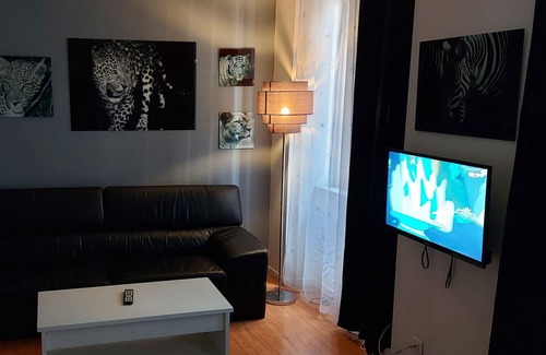 Saint-Roch - Badouillere - Chavanelle Apartment | T2, NETFLIX, WI FI, CENTER, tram, bus, near opera and all faculties