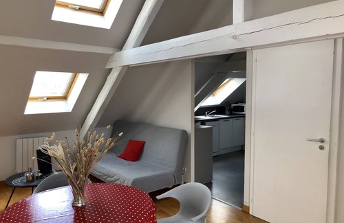 Robertsau Apartment | T2, proximity to European institutions, beginning of Robertsau