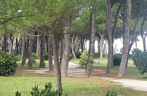 Plage d'Argeles Apartment | T2 seaside Argelès