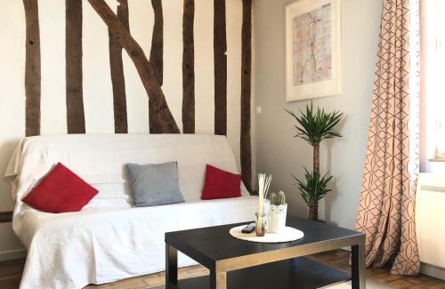 Tours Apartment | T2 style cottage - Véranda & Terrasse extérieure